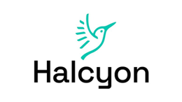 DreamSpring_Business_Resource_Round-Up_Halcyon_logo