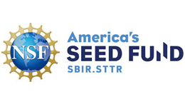 NSF_logo_DreamSpring_Business-Resources