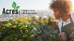 Acres_Cultivating_Equity_in_Black_Agriculture_DreamSpring_Resource_Roundup_OCT_NOV