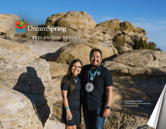 DreamSpring Annual Report 2021