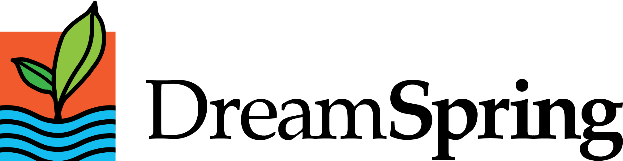 DreamSpring_Logo-horizontal-2