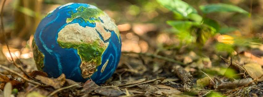 Going Green - Sustainability in Small Business