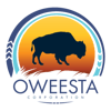 Oweesta-logo-2-298x300