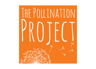 The-Pollination-Project-SpringBoard-Good-Reads-&-Resources