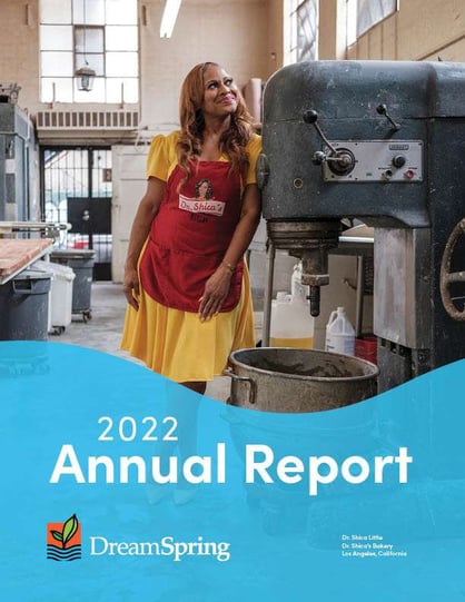 DreamSpring Annual Report 2022
