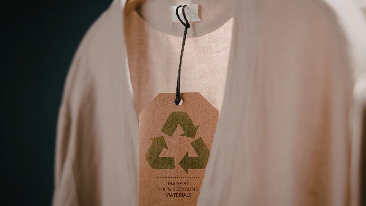 Going Green for Creative Small Businesses feature image