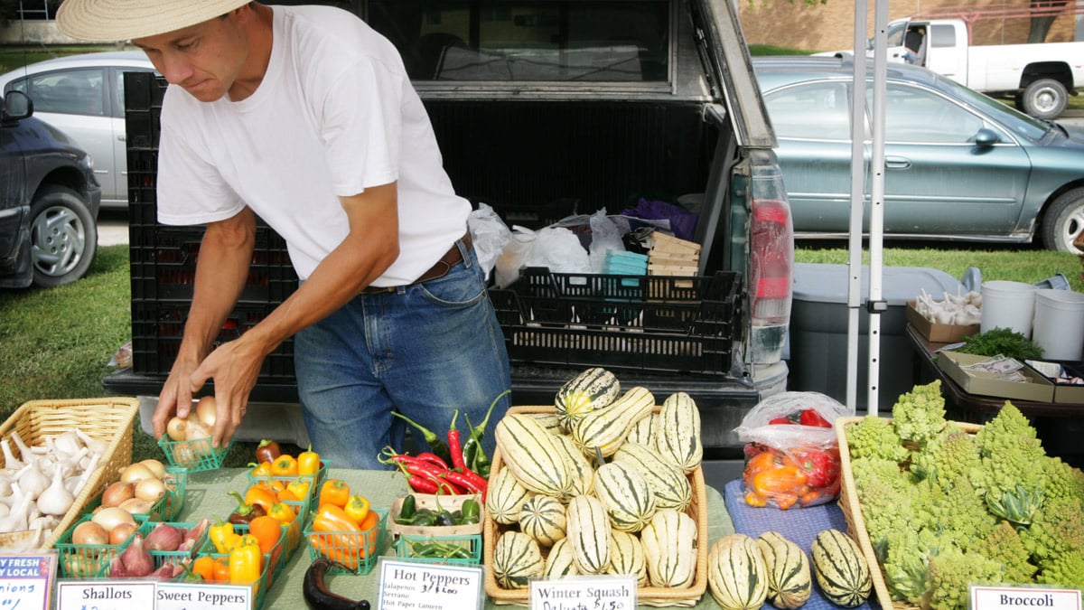 How a Lean Model Canvas Brings Clarity to Your Agribusiness