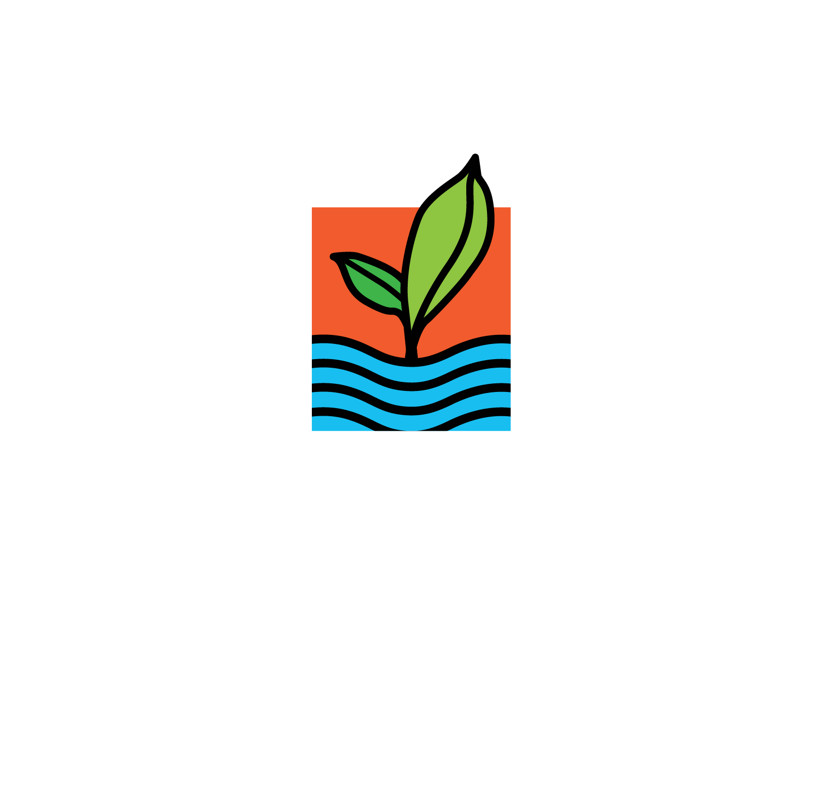 DreamSpring