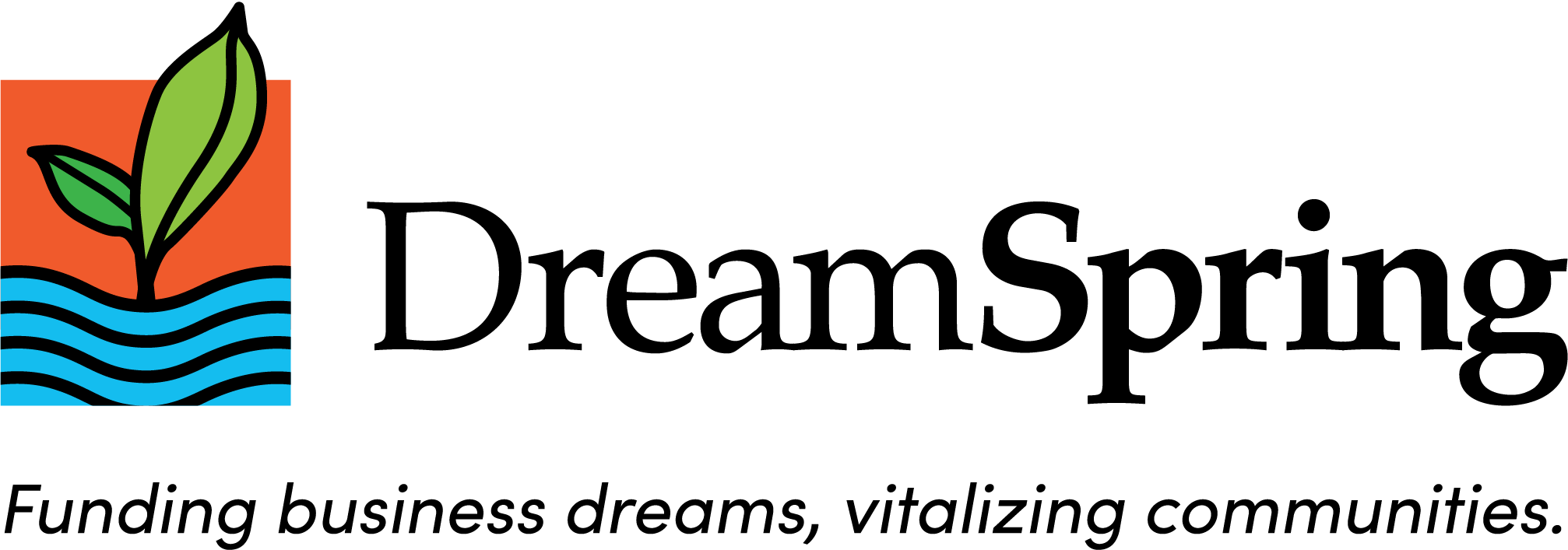 DreamSpring_Logo-horizontal-wTagline-2