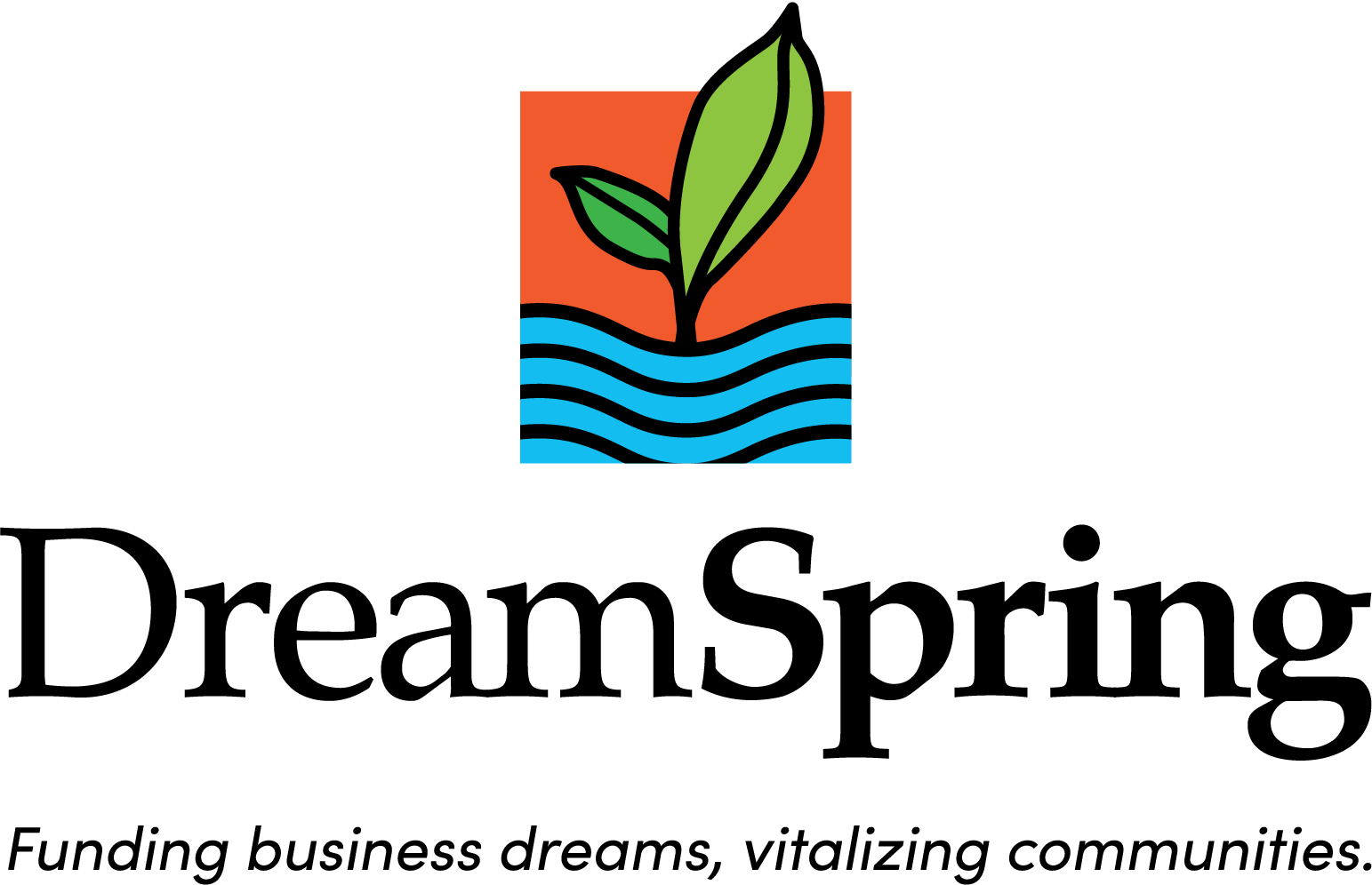 DreamSpring Logo